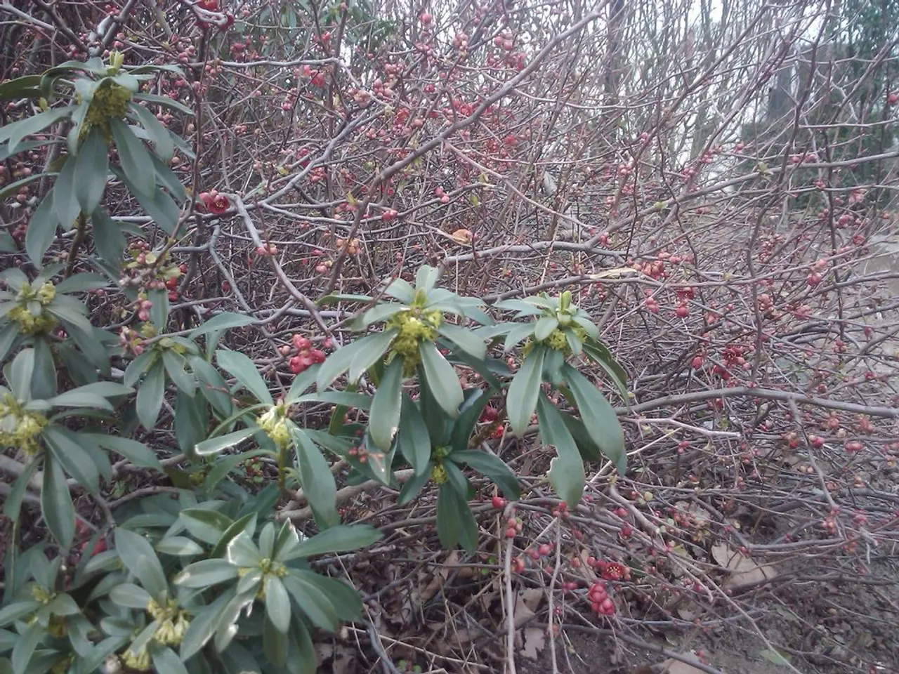 Right-Sided Headache: Origins, Implications, and Swift Alleviation Strategies