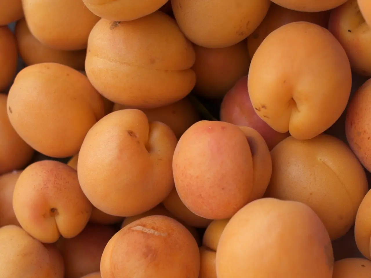 Poop of an orange color: Causes and solutions