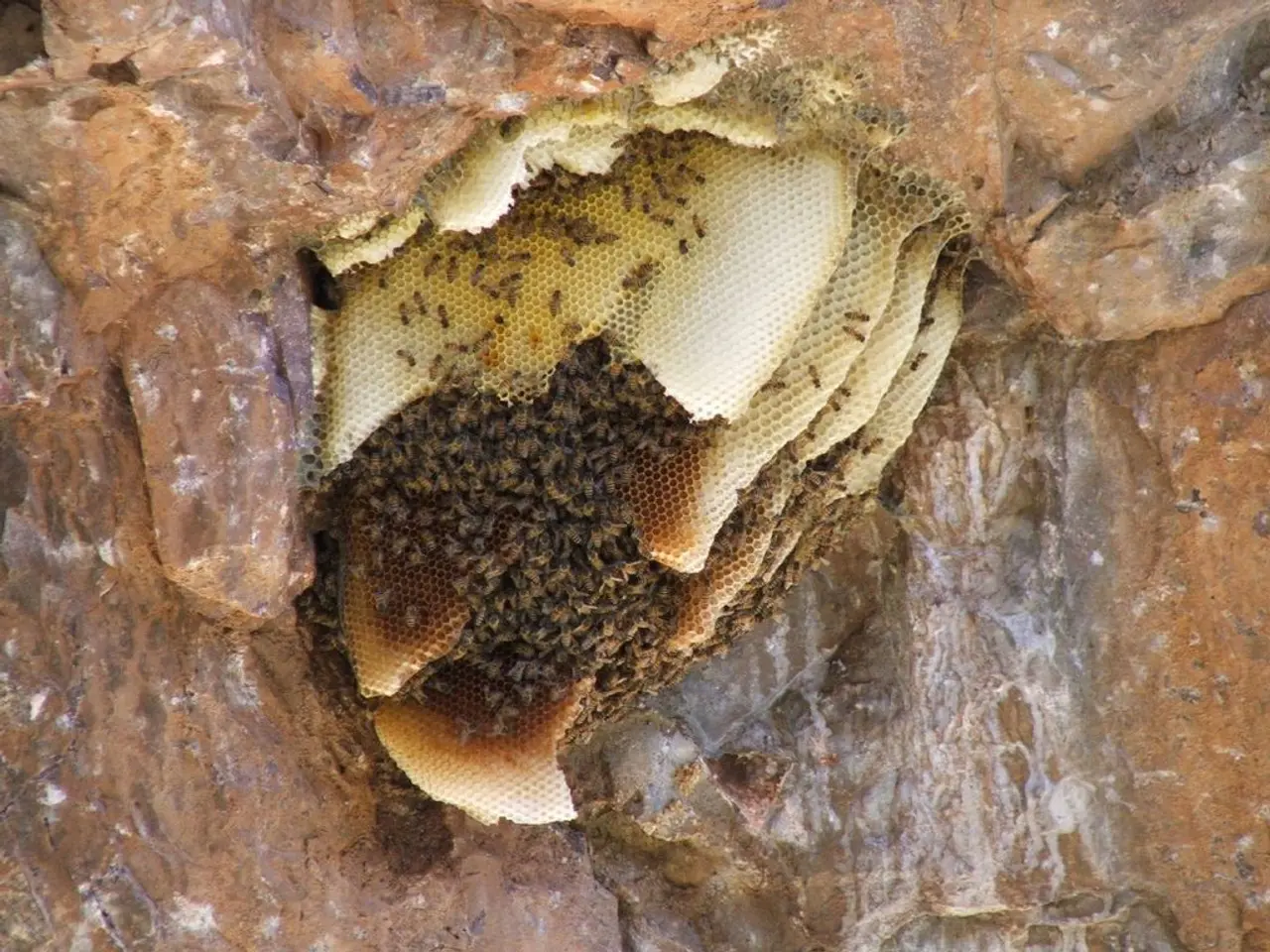 Strategies for eliminating hives promptly: