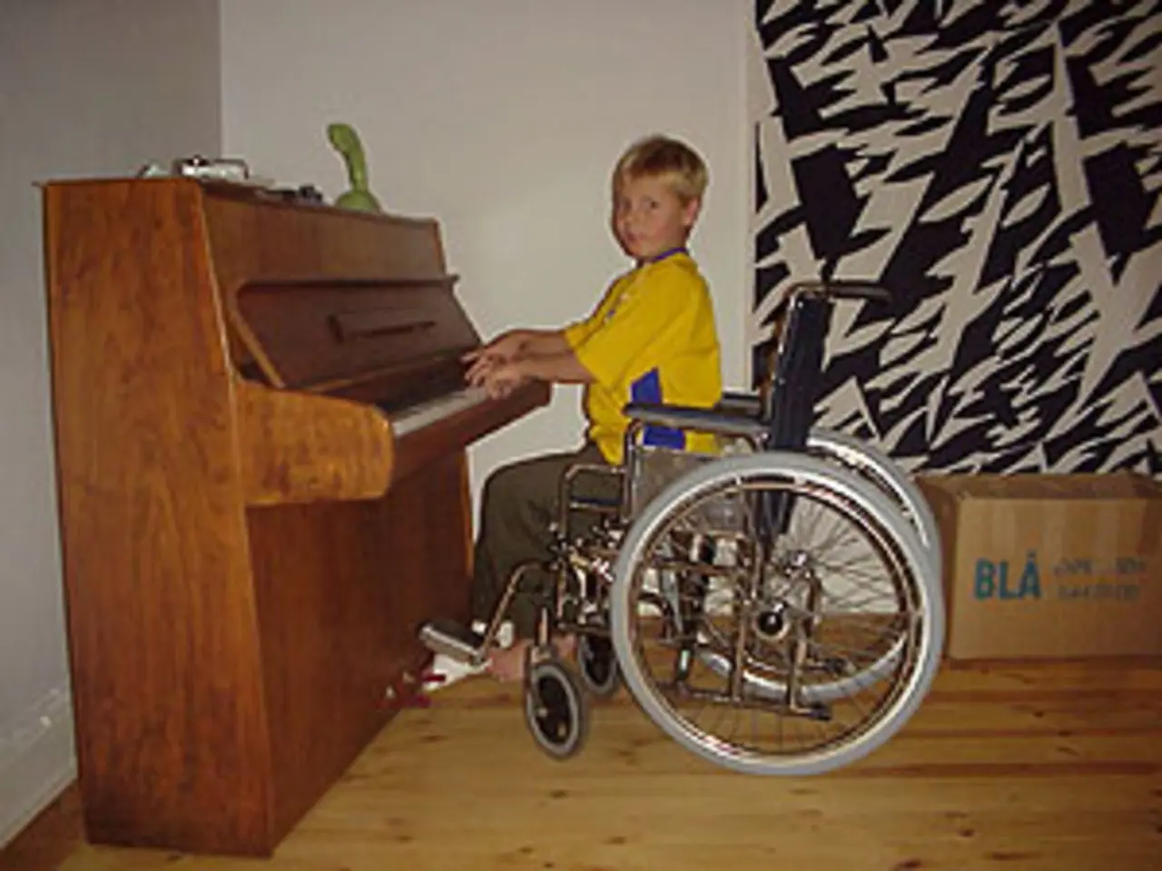 Supporting a Child with Autism Spectrum Disorder to Succeed and Flourish
