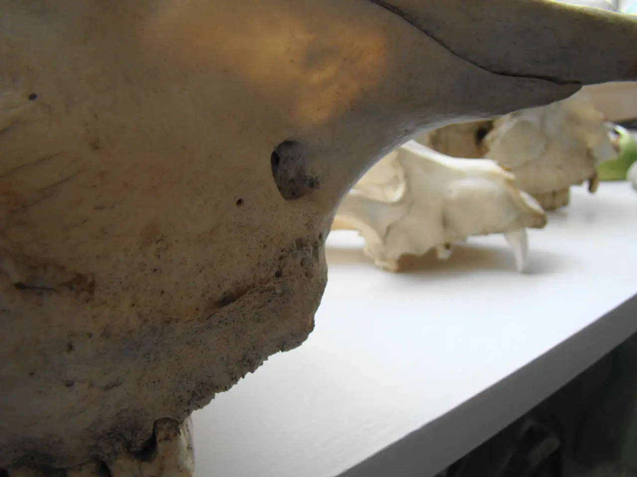 Radiation Explained: A Discussion on Radioactive Energy Emissions