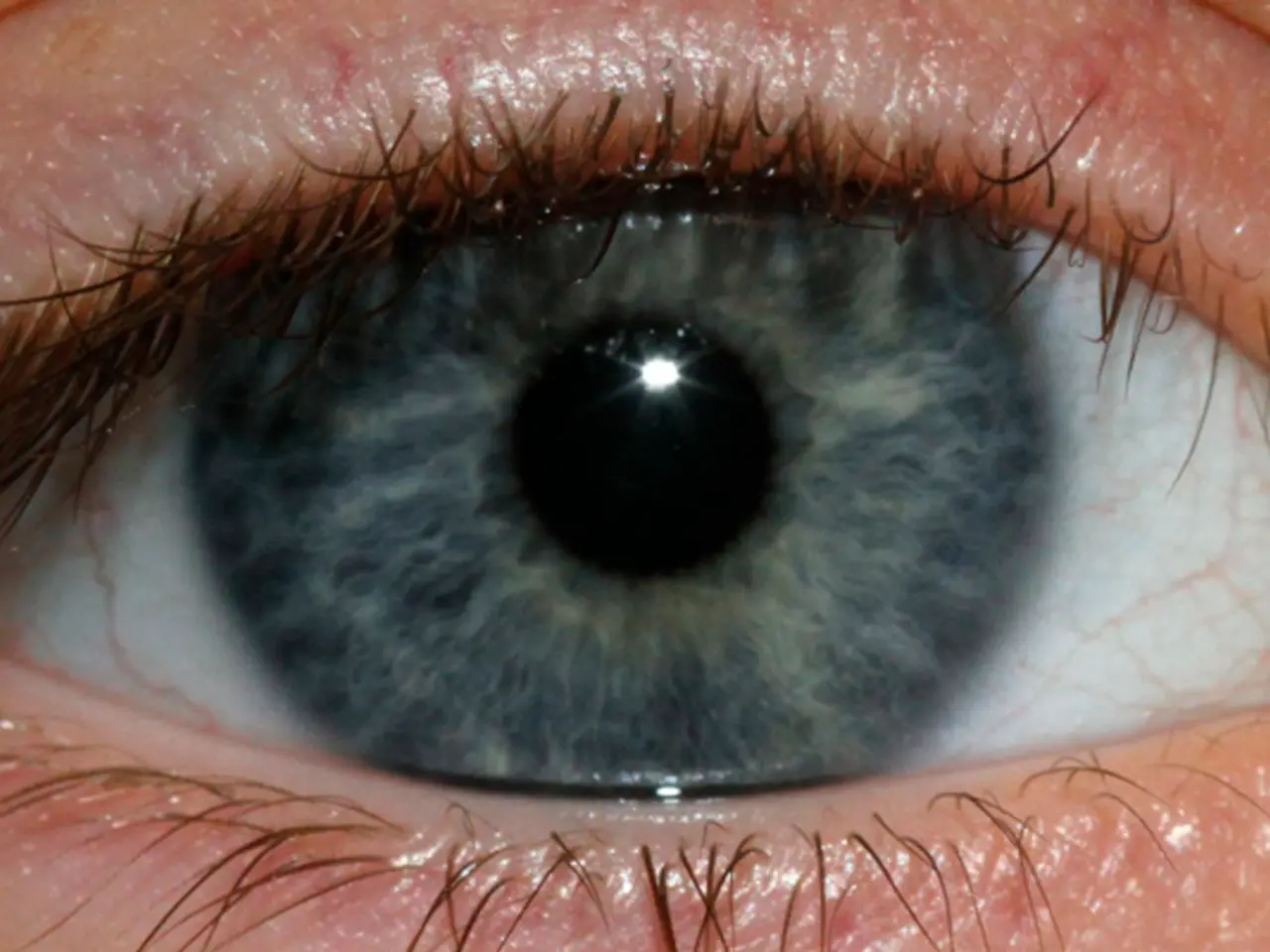 Functioning and Astonishing Anatomy of Human Eyes: An In-depth Exploration