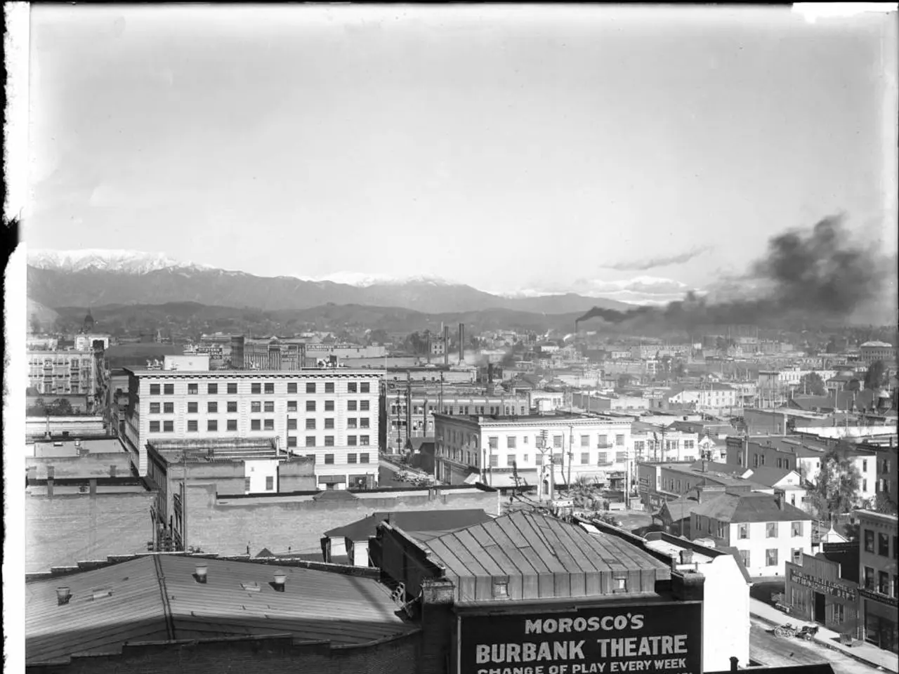 Illegitimate heated tobacco products discovered in the Zabaikal region