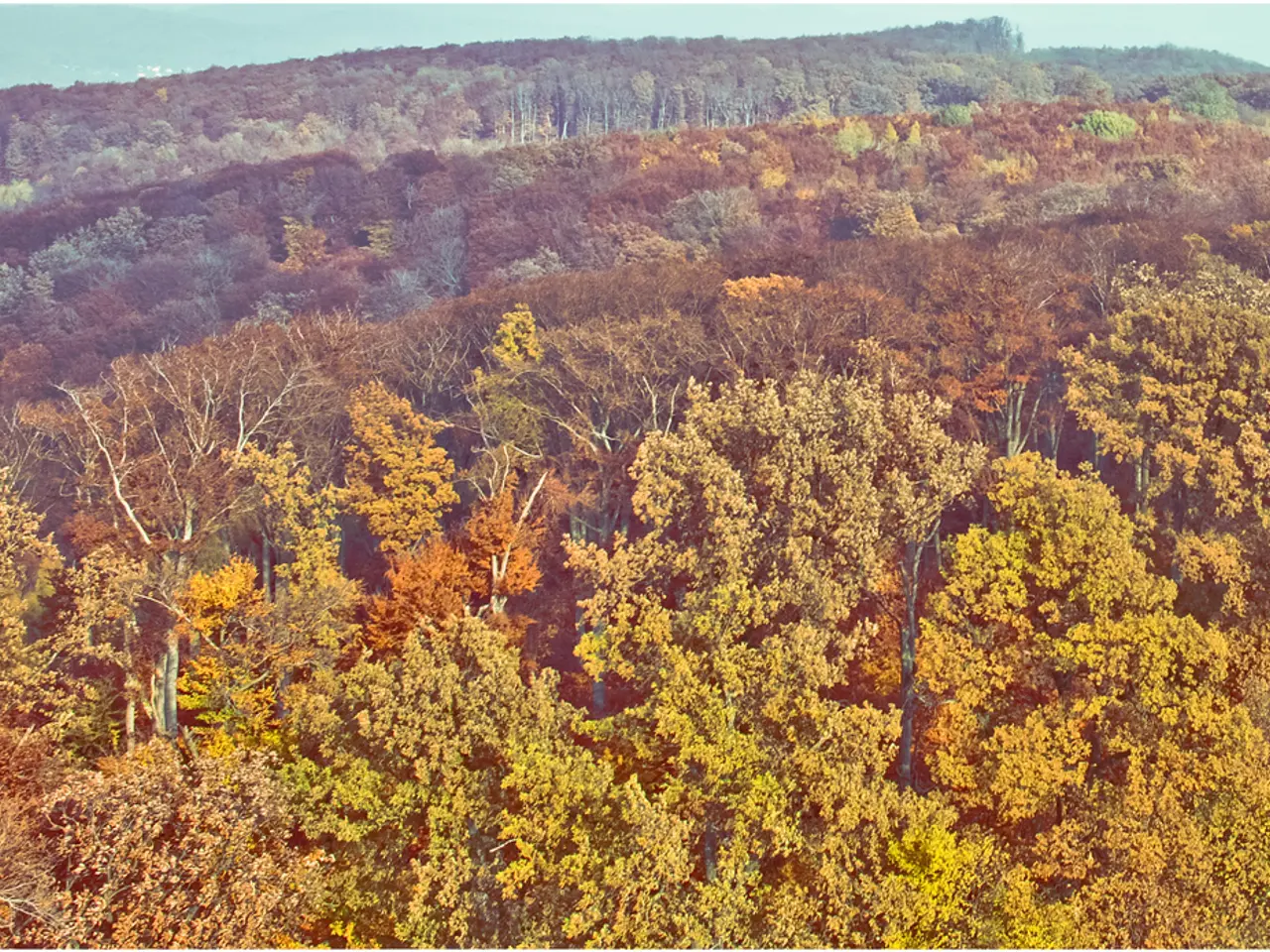 Nature's Healing Powers: Toyota Aims to Discover through Research