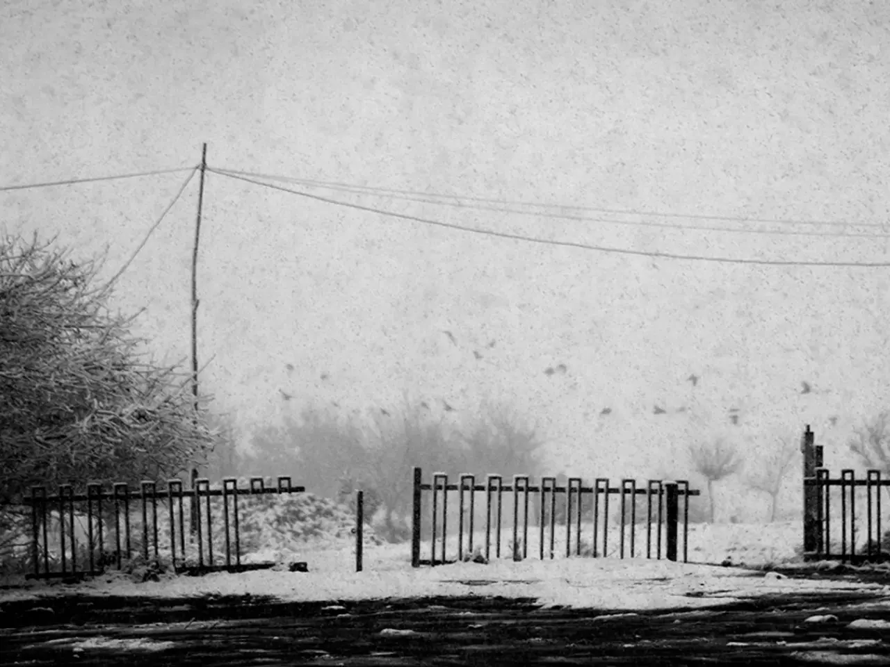 Woman from abroad laments rainy season in Mexico, expressing deep seasonal sadness: "I struggle...