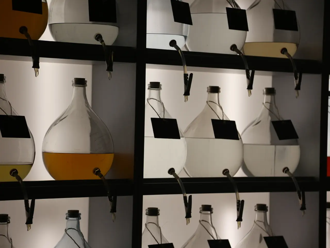 Herpes Sores: Categorization and Remediation Strategies