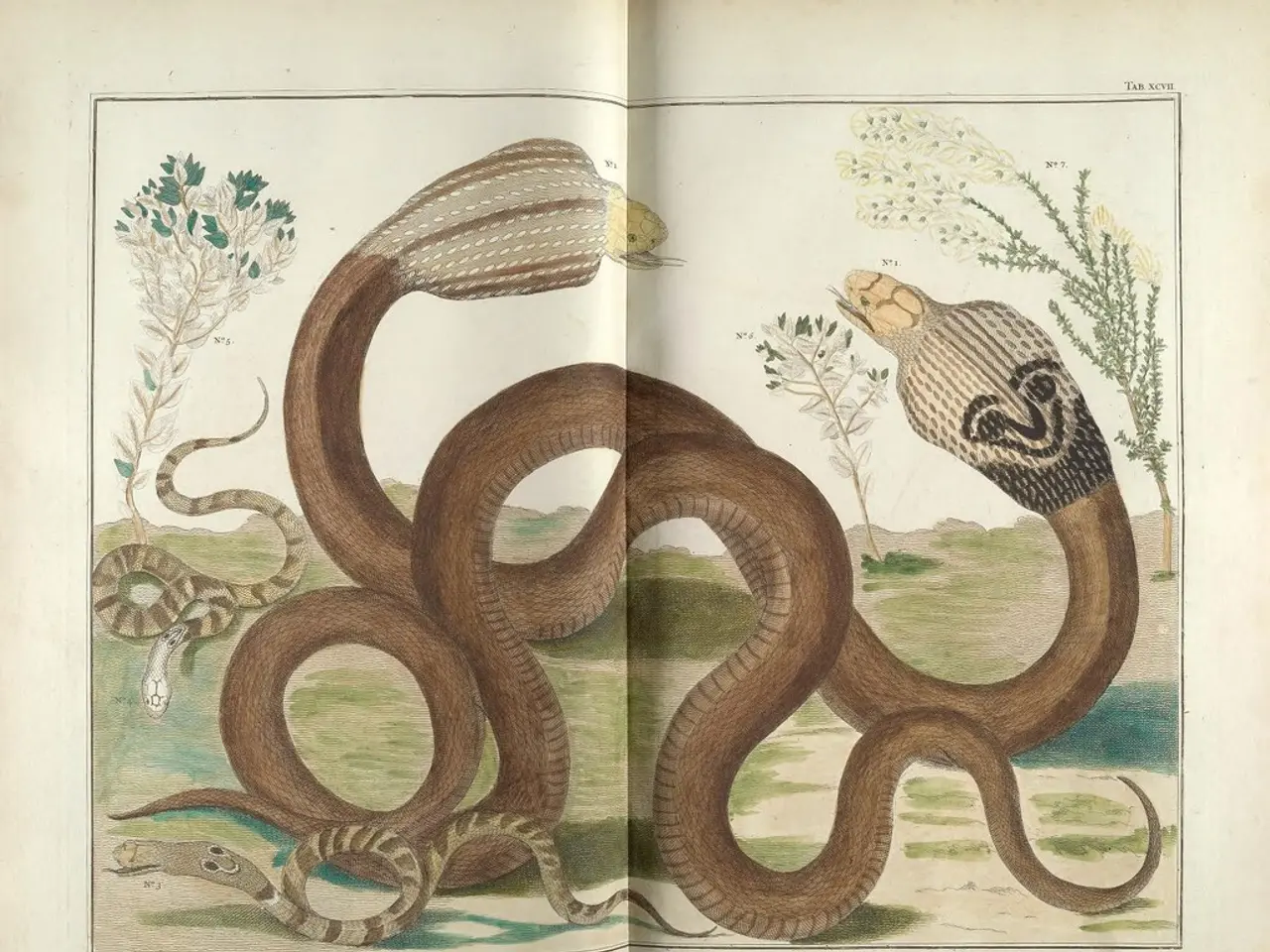 Dysautonomia: Examination of Life Expectancy and Additional Factors