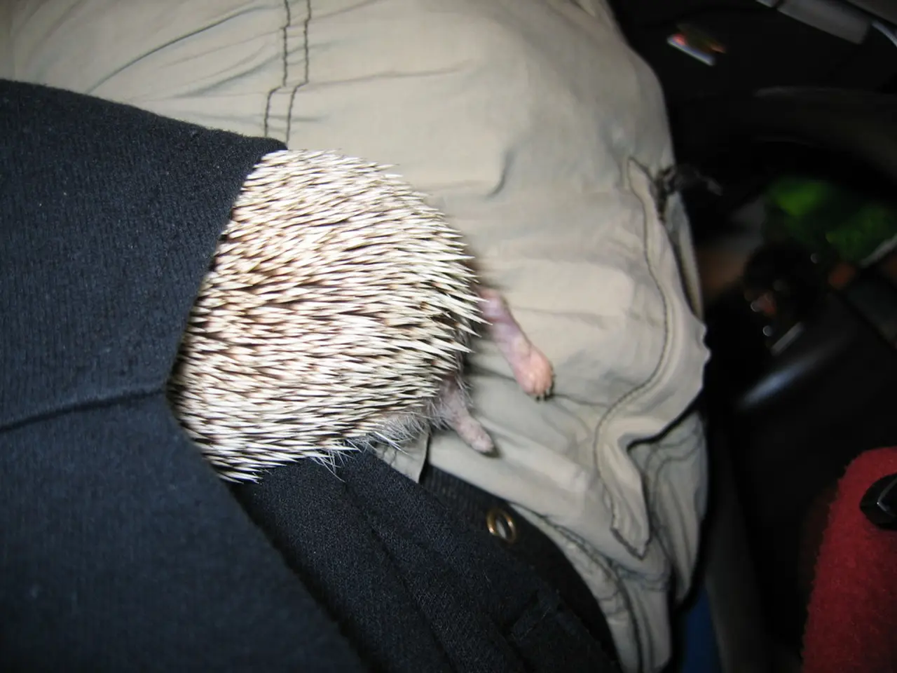 "No need to reveal details about household animals"