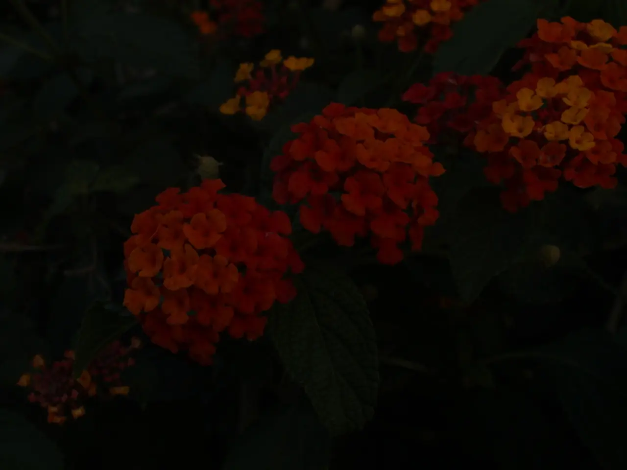 Current Conditions in Reutlingen: Presence of Weeds and Ambrosia on Saturday