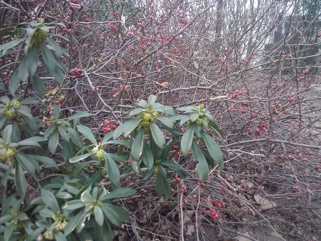 Right-Sided Headache: Origins, Implications, and Swift Alleviation Strategies