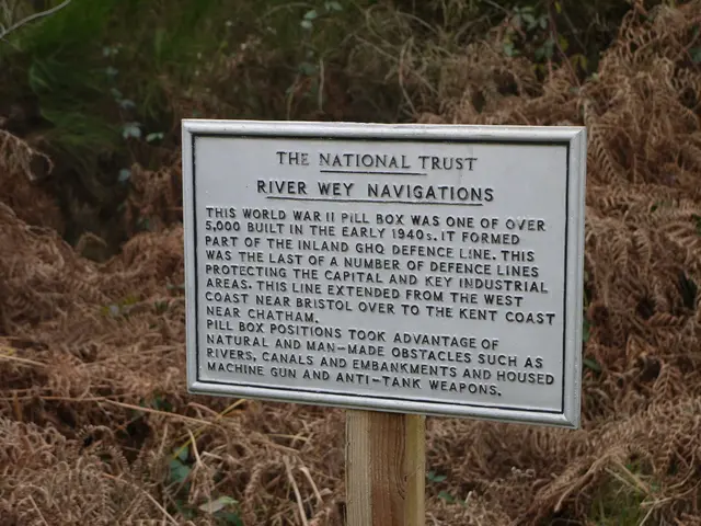 Human Consumption of Pea Protein Offers Minimal Nutritional Value