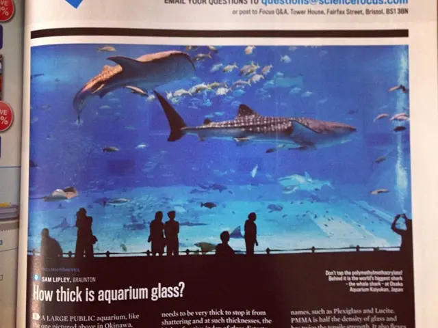 Law enforcement concerns arise over cattle gathering event suspected to involve unusual activities