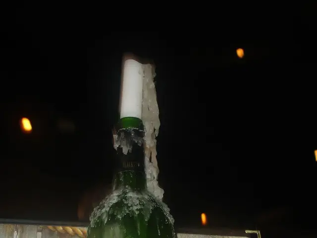 Comparing Diet Options: An Overview of Prevalent Diet Programs and Their Mechanisms