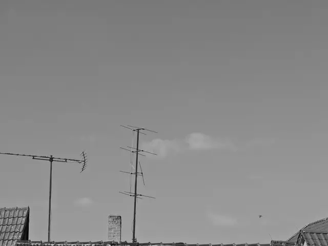 Impact of Dehumidifiers on Health Unveiled: Two Potential Risks Identified and Solutions Proposed