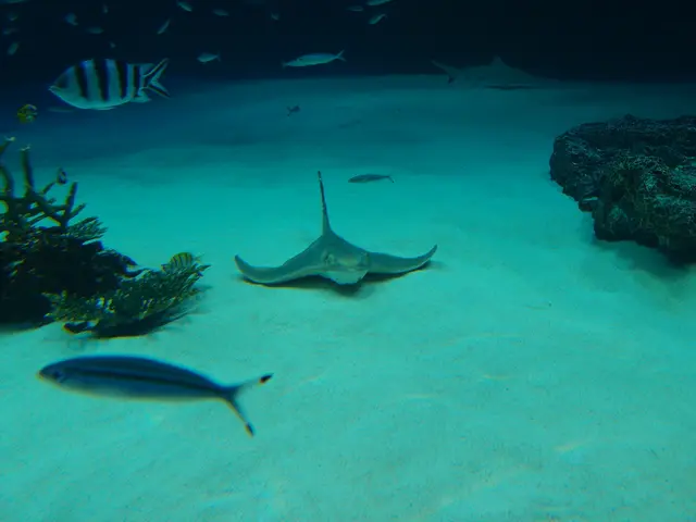 Publisher CADDIS unveils new releases