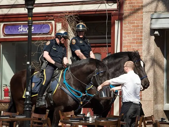 Overindulgence in Alfalfa: Consequences for Horses