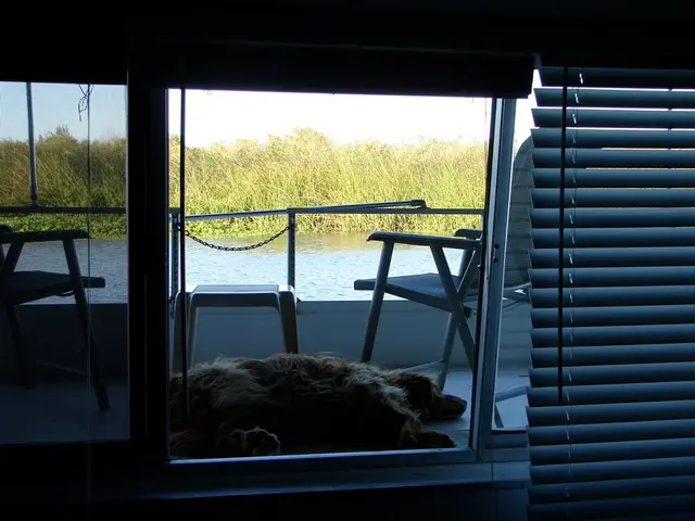 Precautions for the Well-being of Canines During the Warm Season