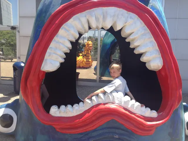 Hiding Autistic Characteristics Not Necessarily Causing Mental Health Issues