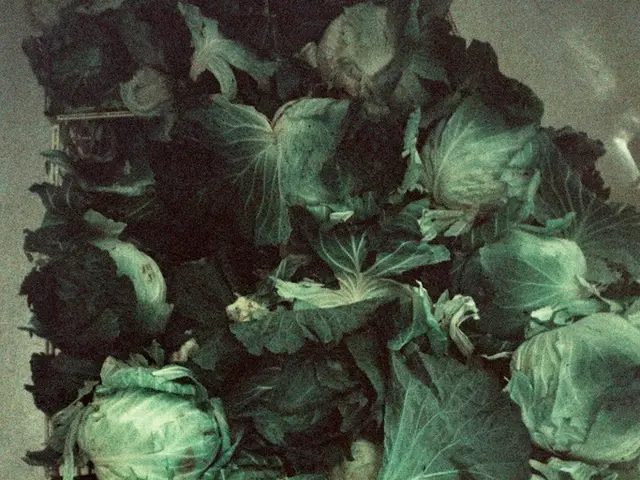 Cellulite Examination: Understanding Causes, Therapies, and Prevention Strategies