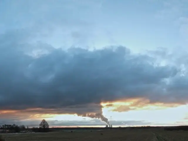 Protecting Public Interests: No Neglect Detected