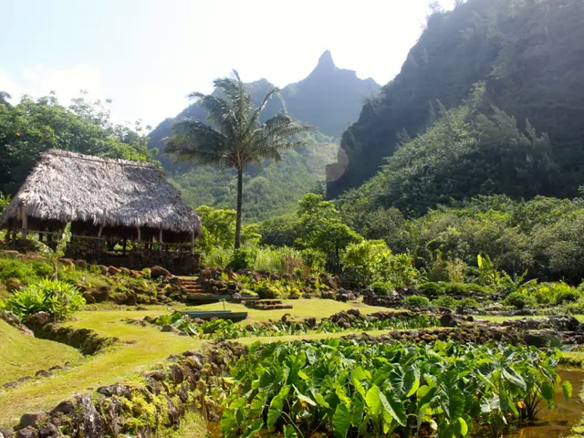 Twisted Testicles: Causes, Signs, and Remedies