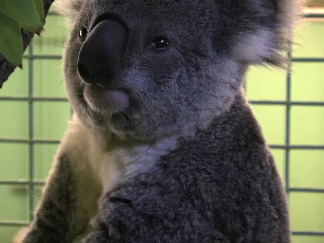 Examining Animal Intelligence: A Look at Intelligence, Impulses, and Survival Strategies across the...