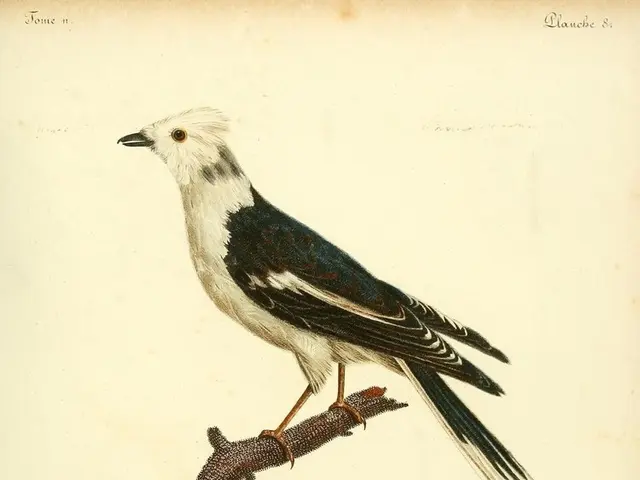 Wild birds are facing increased heat stress at the Animal Hospital, causing concern for their...