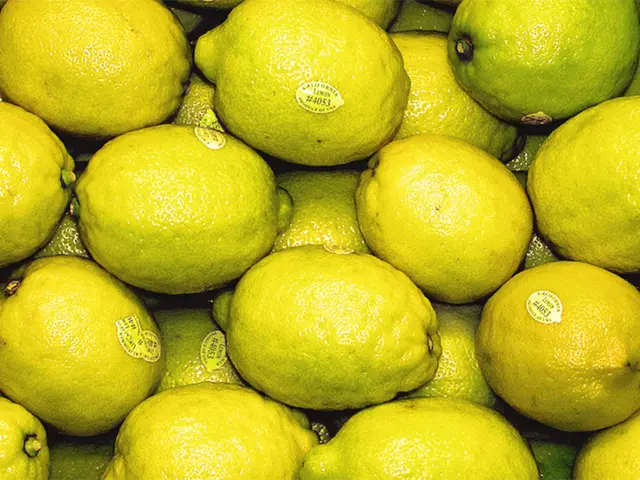 Lemon cleanse diet: Is it effective and safe for consumption?