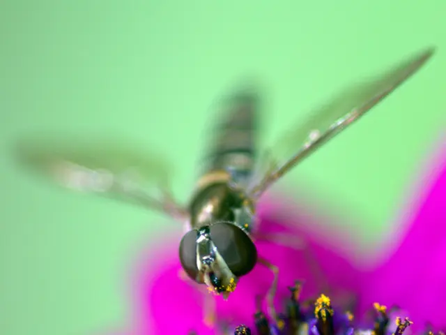 Drug lot contamination compromises Jasper study on urticaria, leading to study inconclusiveness.