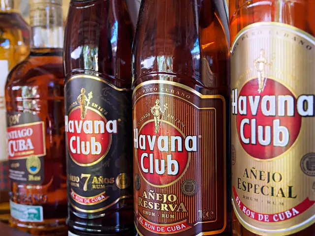 Families and their Role in Aiding Alcohol Recovery