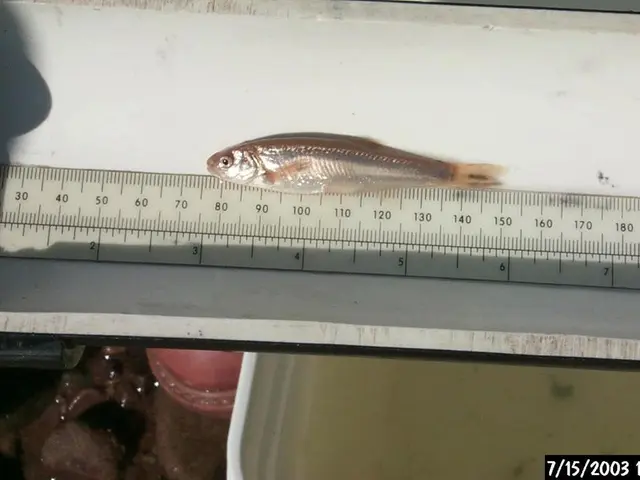 Understanding fertility and ovulation: A guide to calculating your ovulation period.