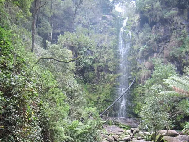 Southwestern regions on track for water shortages by 2050