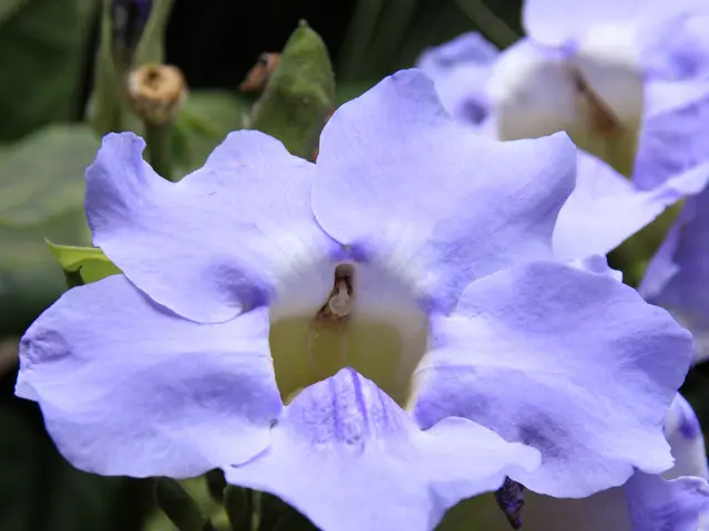 Strategies to Boost Your Morning Vitality