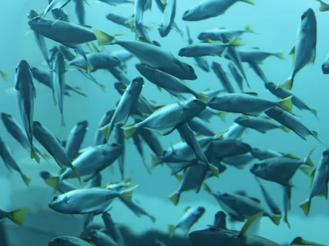 Researchers have found a new aquatic life form, a river species, with a maximum weight of 220...