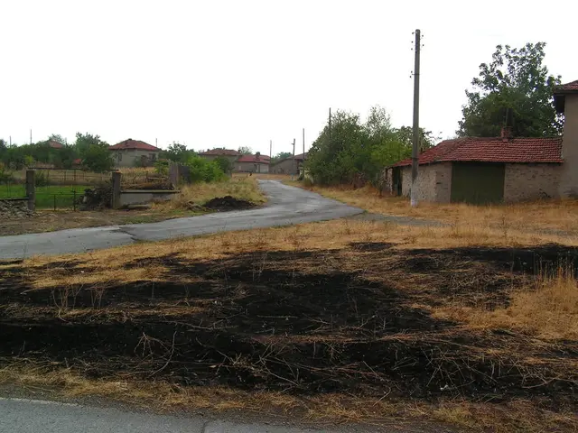 Earnings from potato and vegetable harvesting revealed
