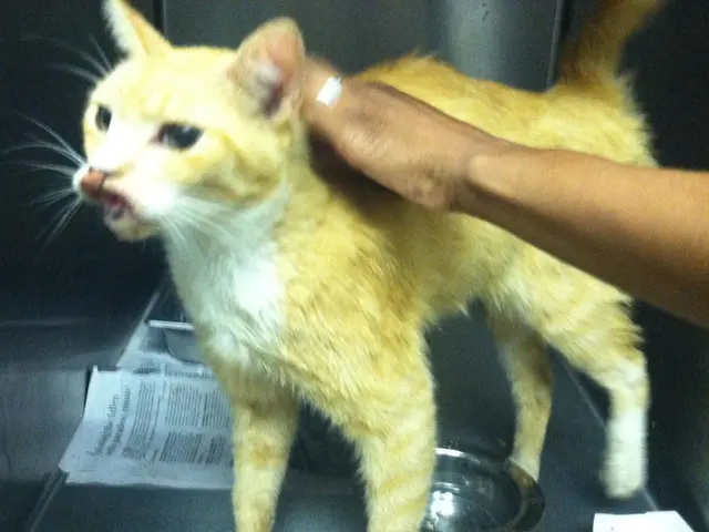 Understanding Reactive Abuse: Key Facts and Strategies for Coping