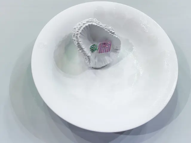 Medicare Health Maintenance Organization: Definition, Coverage Scope, Eligibility Criteria,...