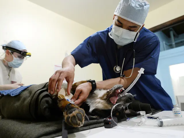 Organ donation reforms under debate in Congress, with a legislator sharing their personal account