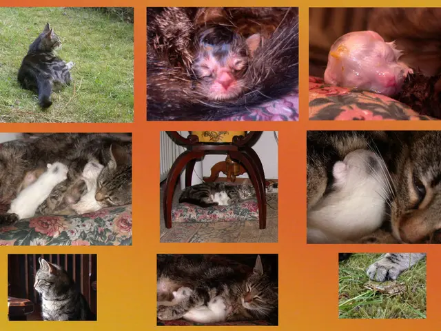 The struggle of early mammals in developing an upright stance was not an easy feat.