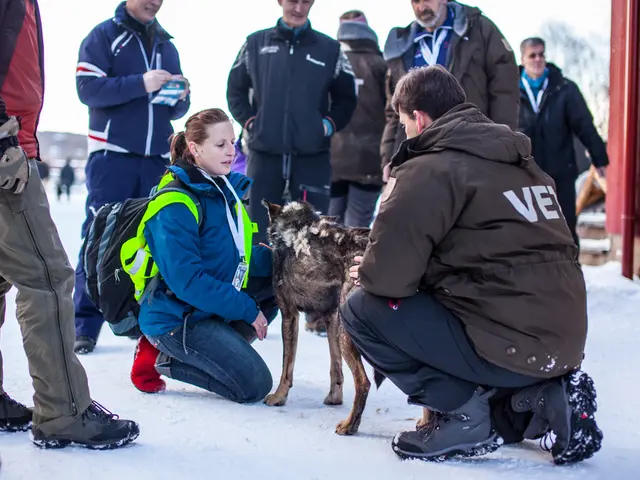 Unveiled by Human Rights Watch: Alarming reports of inhumane and humiliating treatment towards...