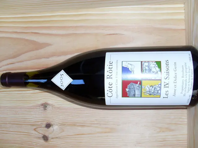 Enhanced Perks of Black Seed Oil: Strengthening Immunity and More