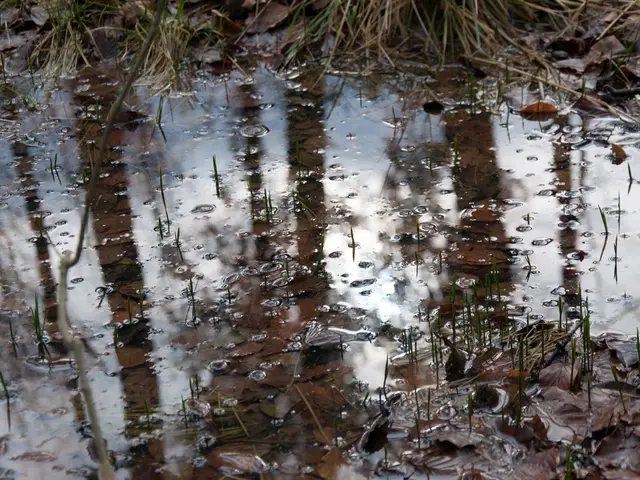 Dried-out Skin: Symptoms, Origin, Remedies, and Additional Information