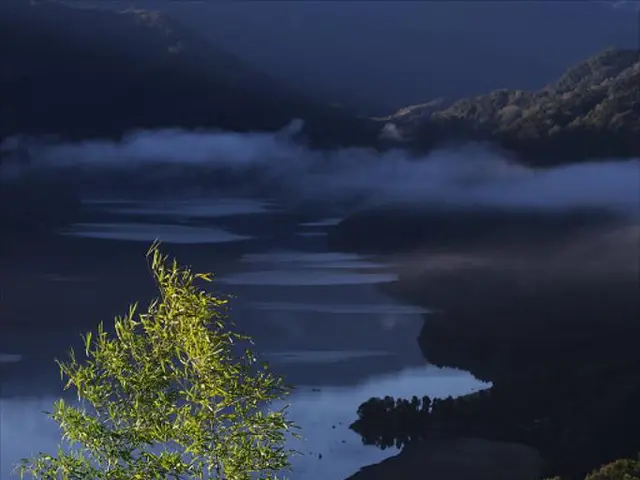 Alert Issued: Potentially Harmful Algae Blooms Spotted in Local Lake