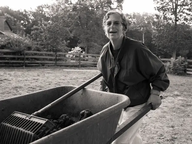 Local artisan experiences a stroke during vacation in Greece