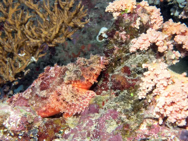 Massive and persisting toxic algal bloom in Australia causally responsible for the demise of 14,000...