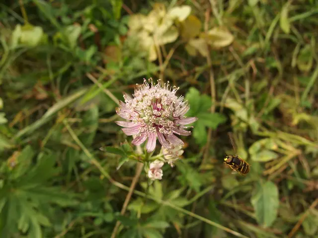 Increased advocacy for augmented pesticide use