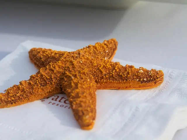 Researchers create a blood-based diagnostic tool that quantifies the speed of an individual's organ...