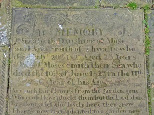 Transforming Mental Wellness: Tapping into Brain's Untapped Capabilities