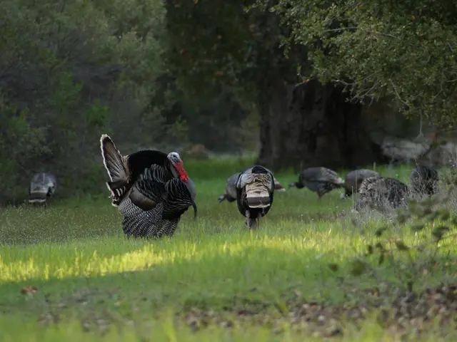 Union leader of forestry sector alleges insufficient training as cause of fatal wildfire in Turkey.