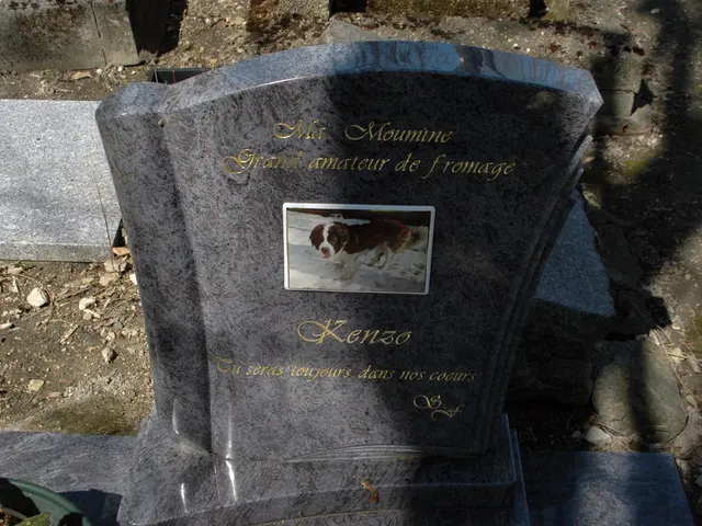 Journalist Sebastian Junger contemplates the concept of an existence beyond death